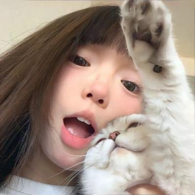 猫和老鼠：绿野仙踪