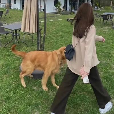 美丽的黄昏